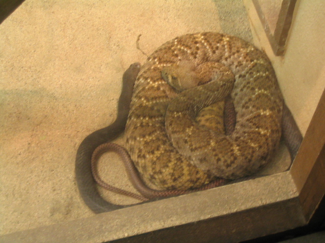 618x457 pixels (175K)